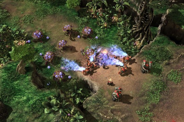 Кракен ты знаешь где покупать