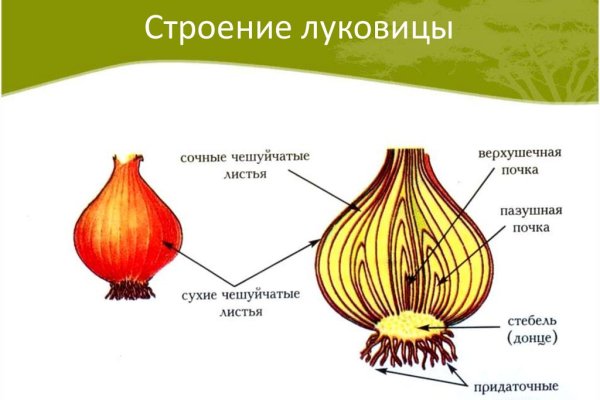 Кракен даркнет как зайти